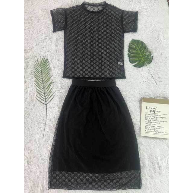 Mesh Short Sleeve Top Skirt Set