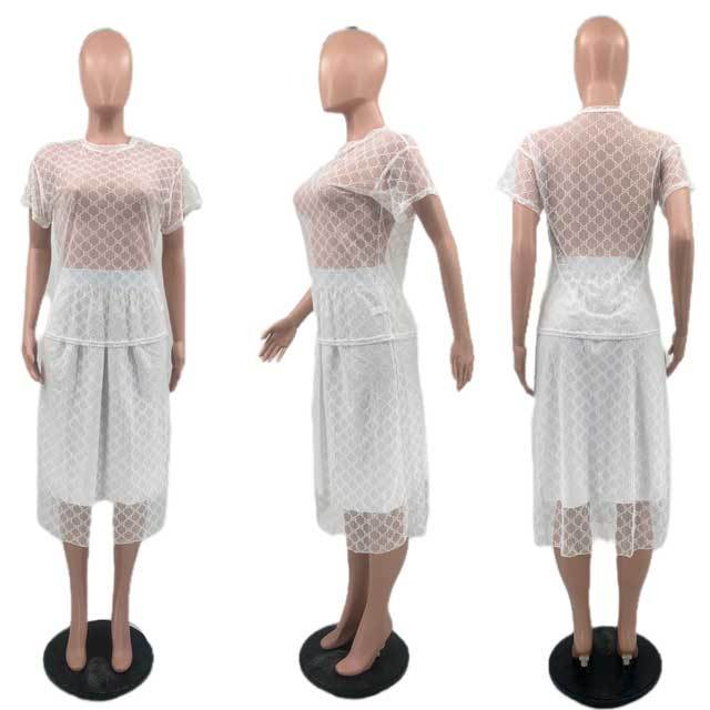 Mesh Short Sleeve Top Skirt Set