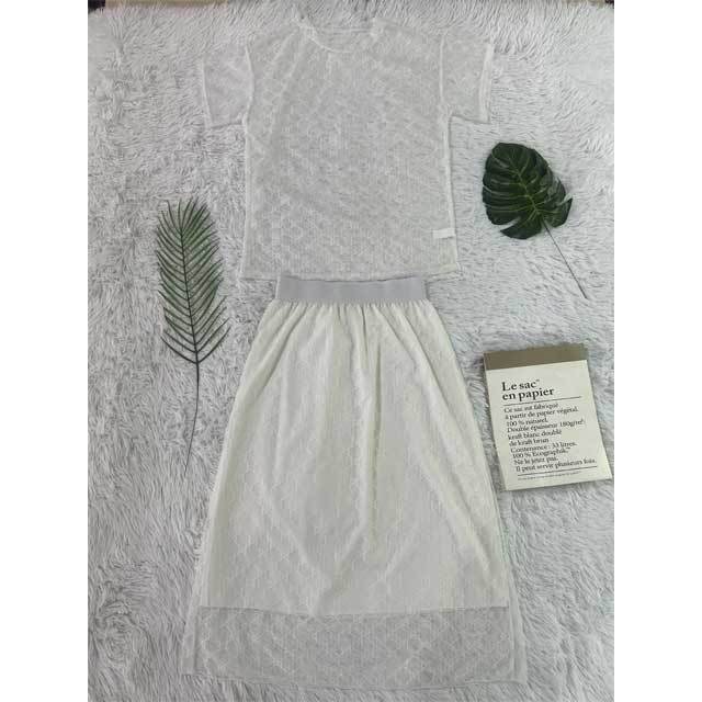 Mesh Short Sleeve Top Skirt Set