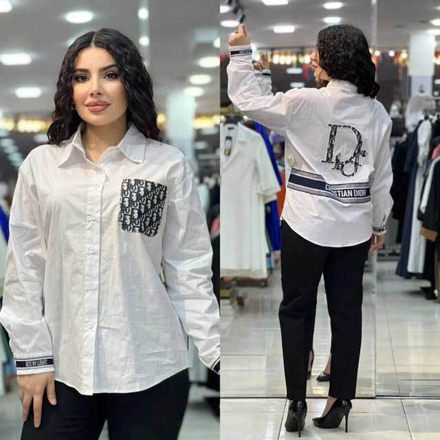 Embroidery Long Sleeve Shirt