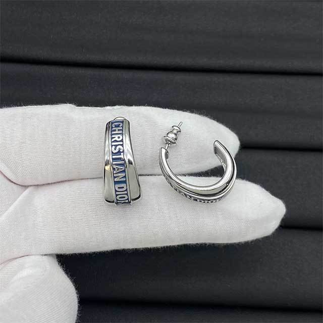 Trendy Luxury Style Earrings(including the box )