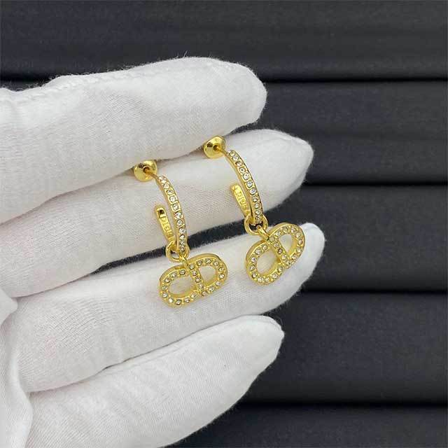 Trendy Luxury Style Earrings(including the box )