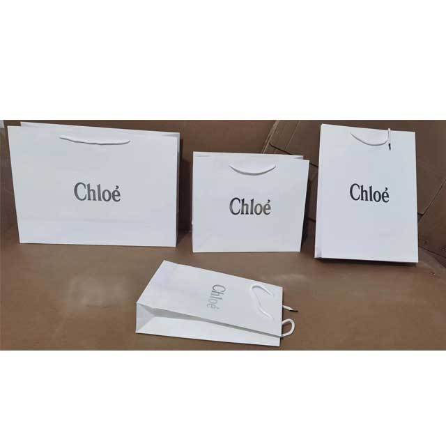 Fashion Shopping Bag Gift Bag