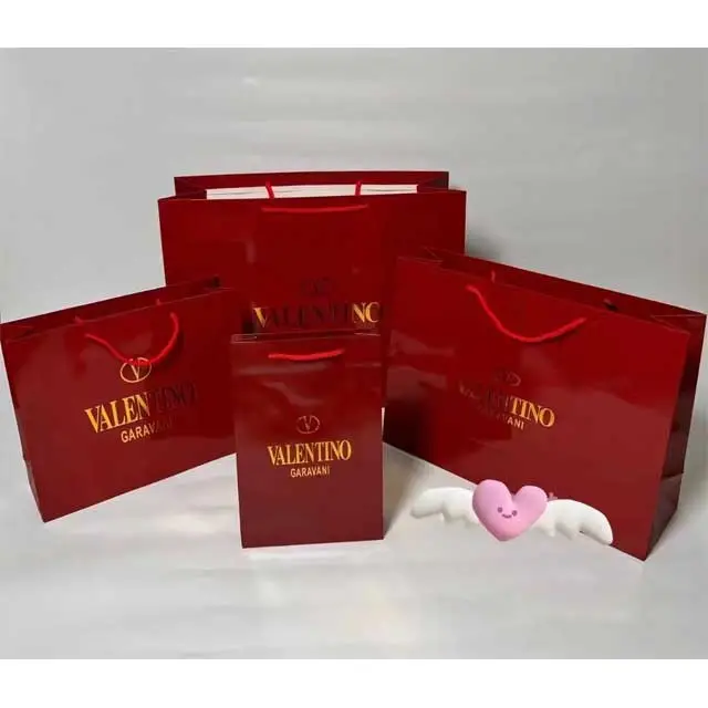 Fashion Shopping Bag Gift Bag