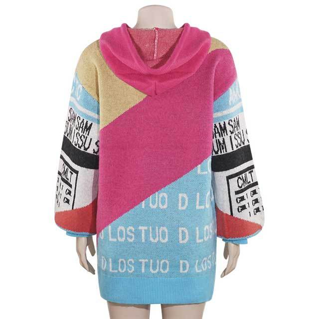 Knit Color Block Hooded Sweater