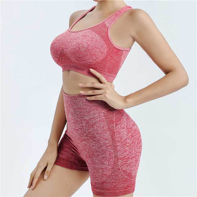 High Waist Skinny Yoga Two Piece Set
