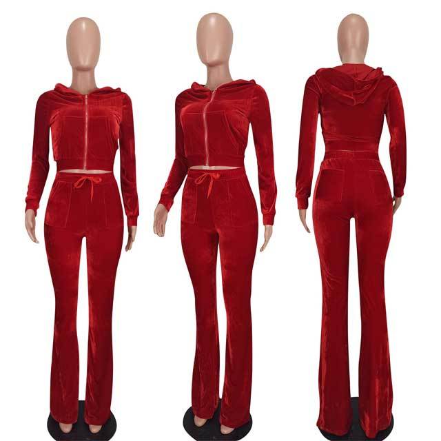 Velvet Hooded Top Casual Pants Set