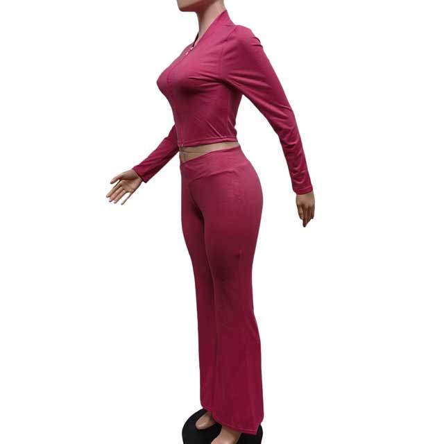 Basic Zipper Top Casual Jogging Suit