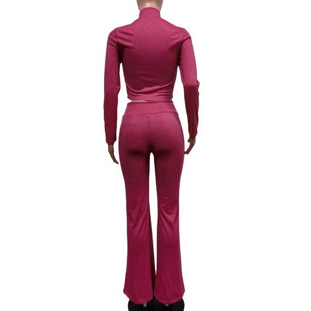 Basic Zipper Top Casual Jogging Suit