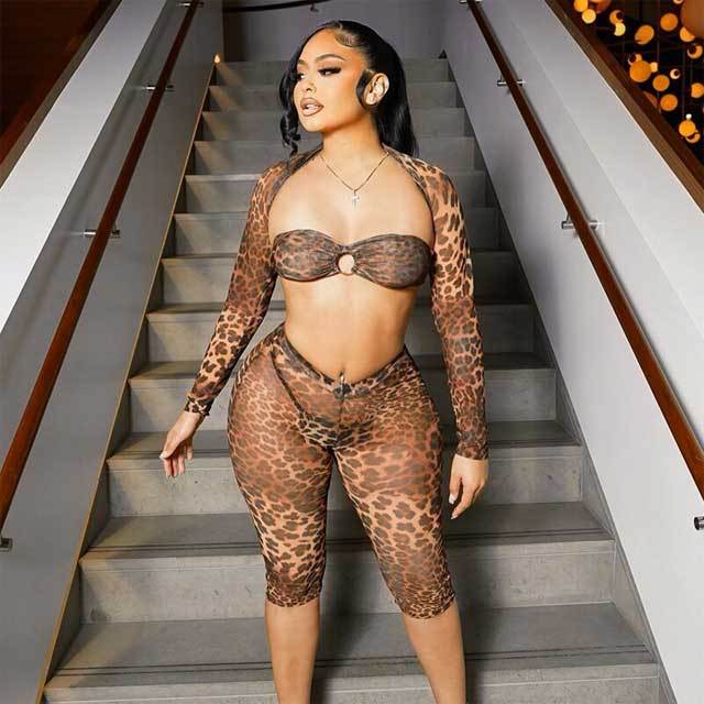 Mesh Leopard Print 3 Piece Short Set