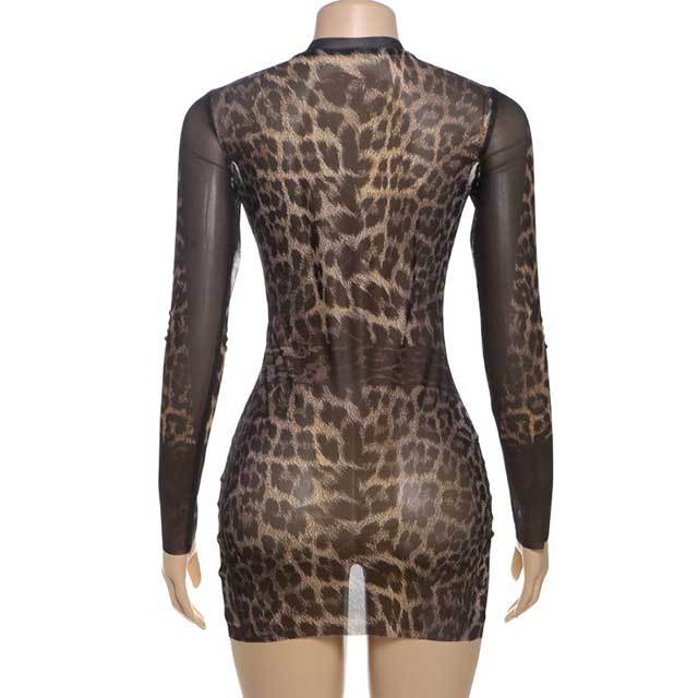 Leopard Print Mesh Bodycon Dress
