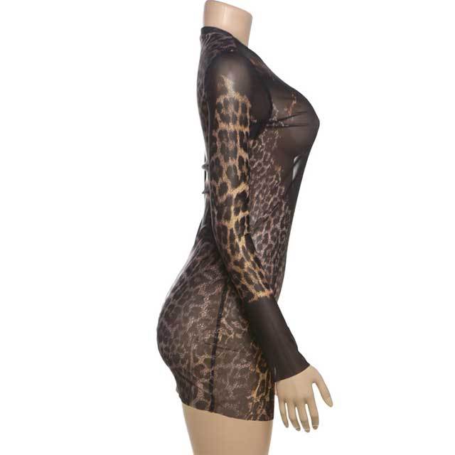 Leopard Print Mesh Bodycon Dress