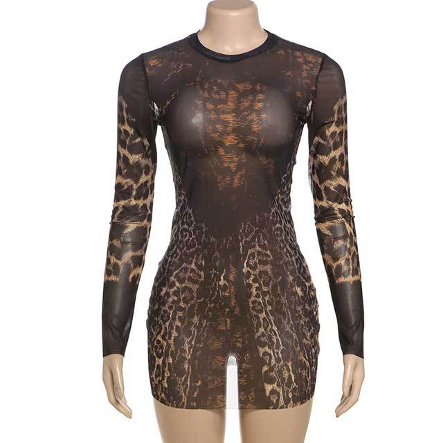 Leopard Print Mesh Bodycon Dress