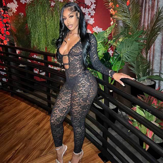 Plunging V Neck Sheer Lace Jumpsuit