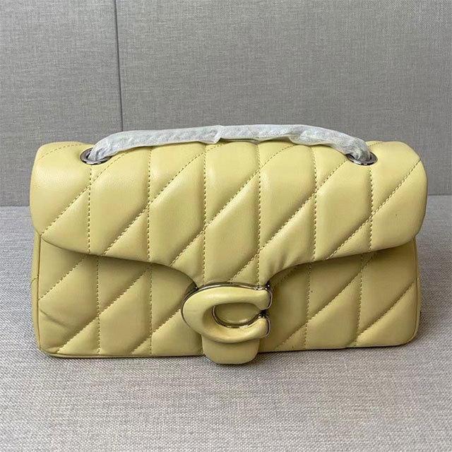 Stylish Design Chained Shoulder Bag(come with box)