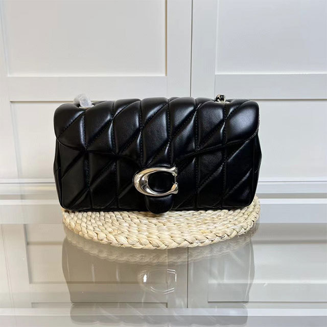 Stylish Design Chained Shoulder Bag(come with box)