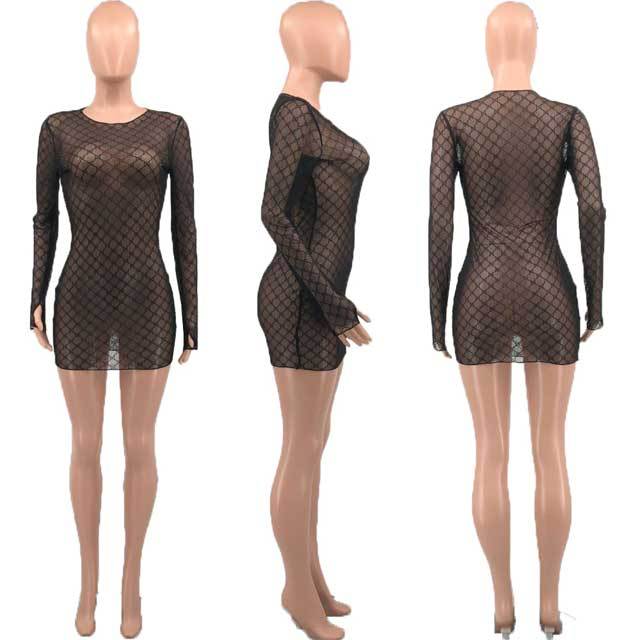 See Through Mesh Dress