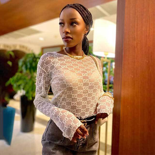 See Through Mesh Dress