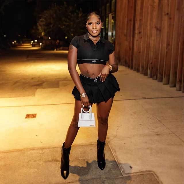 Zip Up Crop Top Pleated Mini Skirt Set