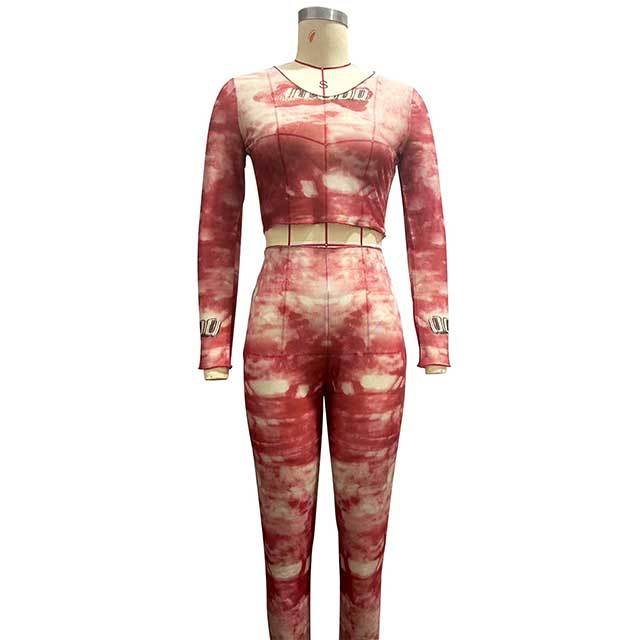 Sheer Mesh Printed O Neck Long Sleeve Tops Tight Legging Set