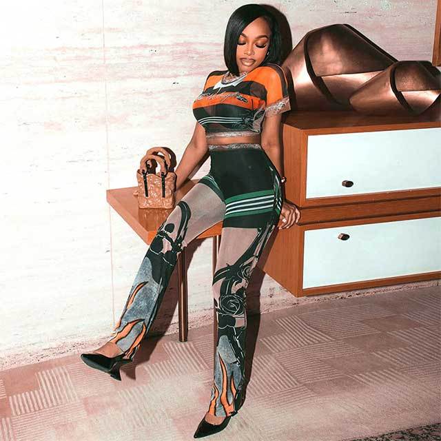 Color Block Printed Sheer Mesh Two Pieces Pant Set