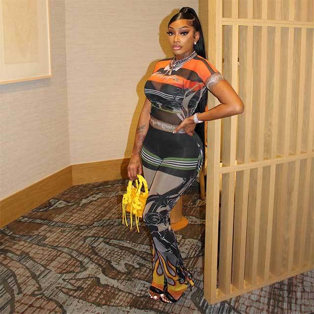 Color Block Printed Sheer Mesh Two Pieces Pant Set