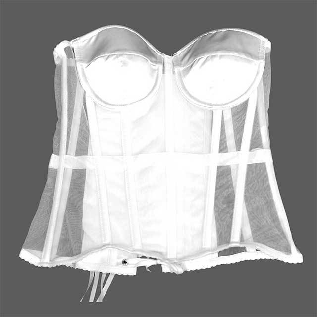 Off Shoulder Sheer Mesh Corset Crop Top
