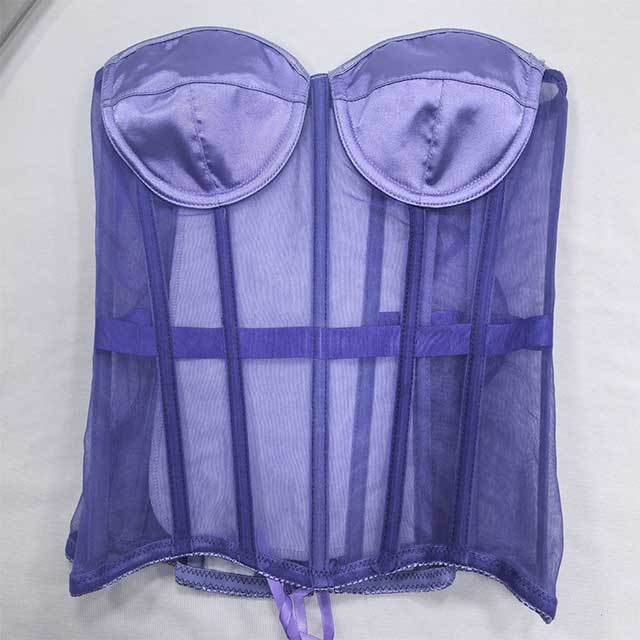 Off Shoulder Sheer Mesh Corset Crop Top