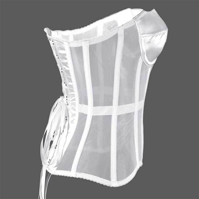 Off Shoulder Sheer Mesh Corset Crop Top