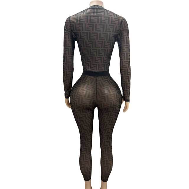 See Through Sheer Mesh Printed Slim Pant Set
