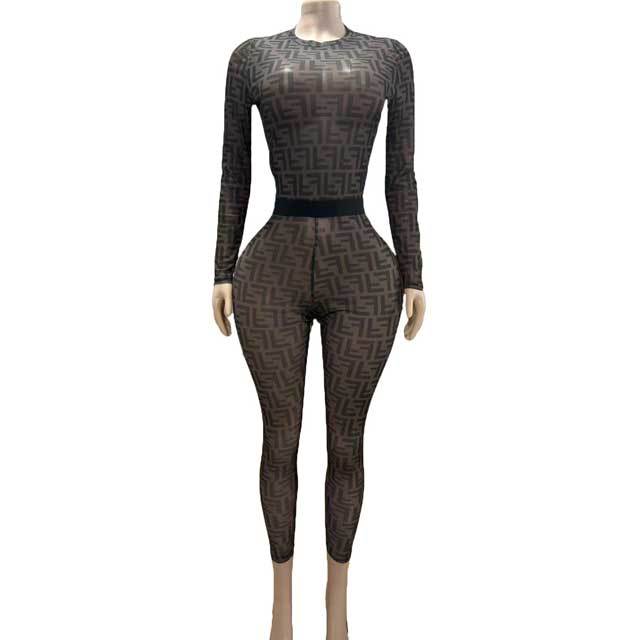 See Through Sheer Mesh Printed Slim Pant Set
