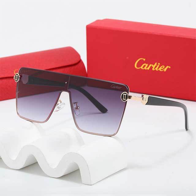 Large Metal Frame One Piece Sunglasses