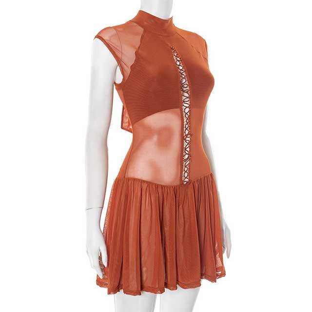 Sheer Mesh Hollow Out Laced Up Mini Dress