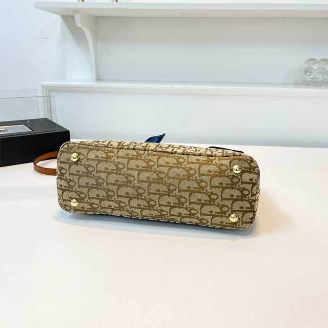 Fashion Print Adult Crossbody Handbag