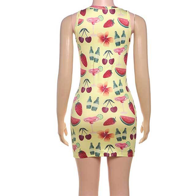 Lace Panelled V-neck Slim Fitted Dress
