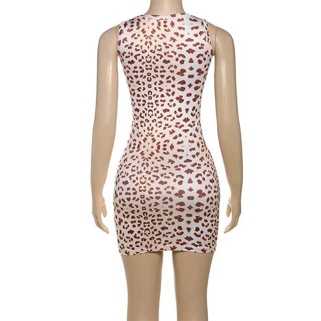Lace Panelled V-neck Slim Fitted Dress
