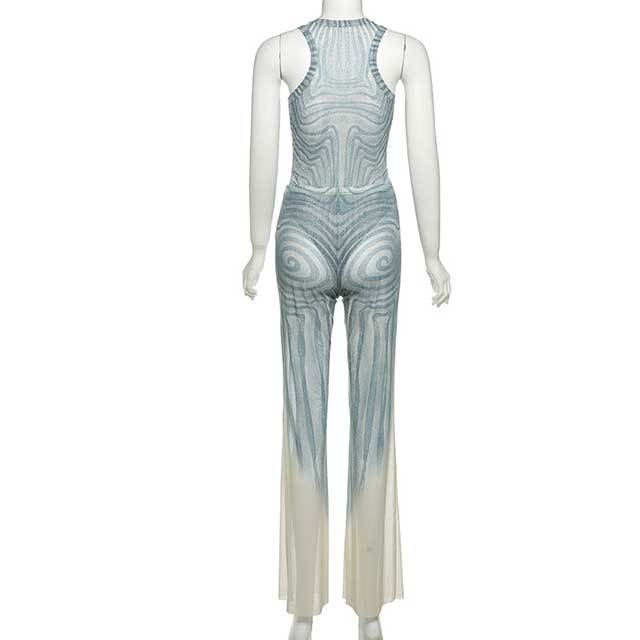 Printed Sheer Mesh Sleeveless Teddies 2 Pieces Pant Set