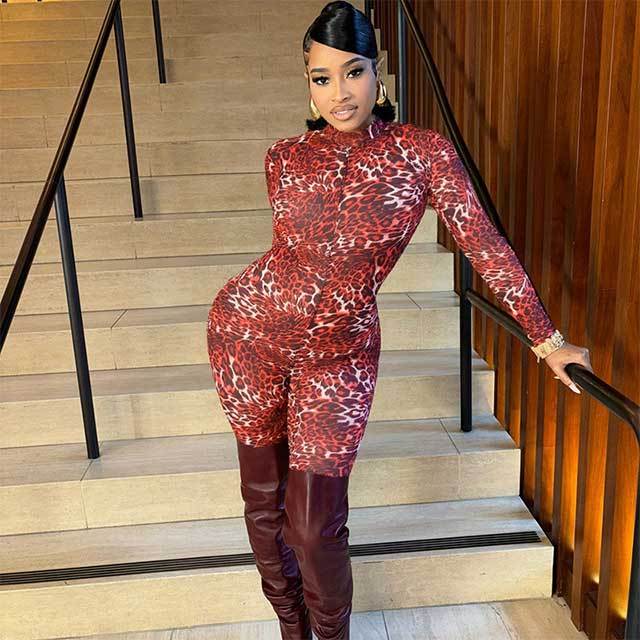 Backless Leopard Printed Sheer Mesh Slim Jumpsuit