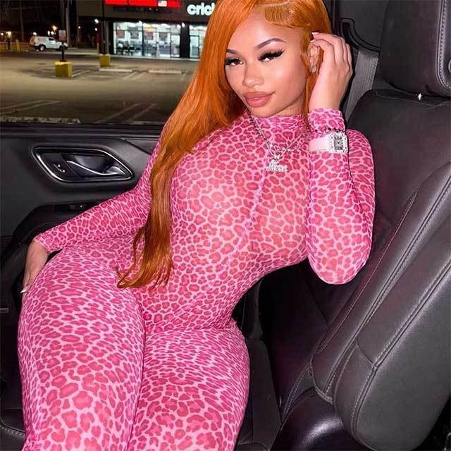 Backless Leopard Printed Sheer Mesh Slim Jumpsuit
