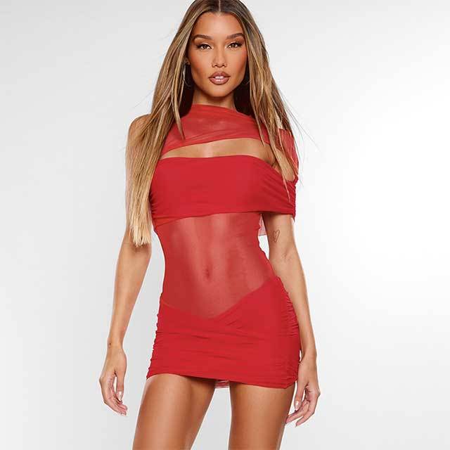 Cut Out Sheer Mesh Bodycon Mini Dress