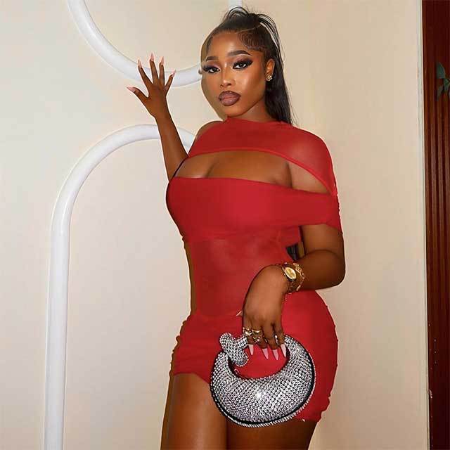 Cut Out Sheer Mesh Bodycon Mini Dress