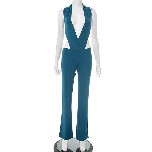 Plunging V Neck Teddies Top Flare Pant Set 2 Pieces