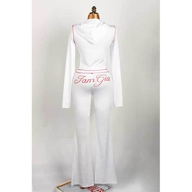 Long Sleeve Zipper Up Hooded 2 Pieces Jogging Suit