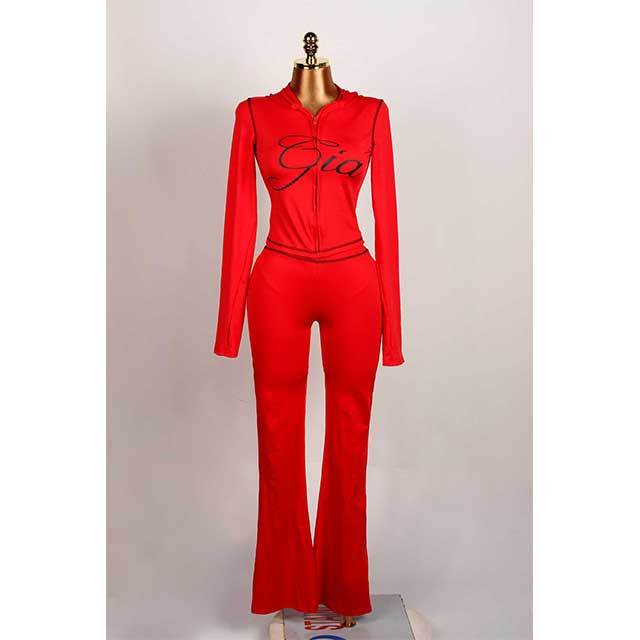 Long Sleeve Zipper Up Hooded 2 Pieces Jogging Suit