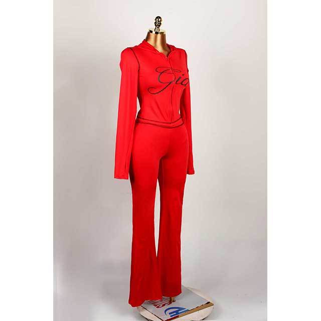 Long Sleeve Zipper Up Hooded 2 Pieces Jogging Suit