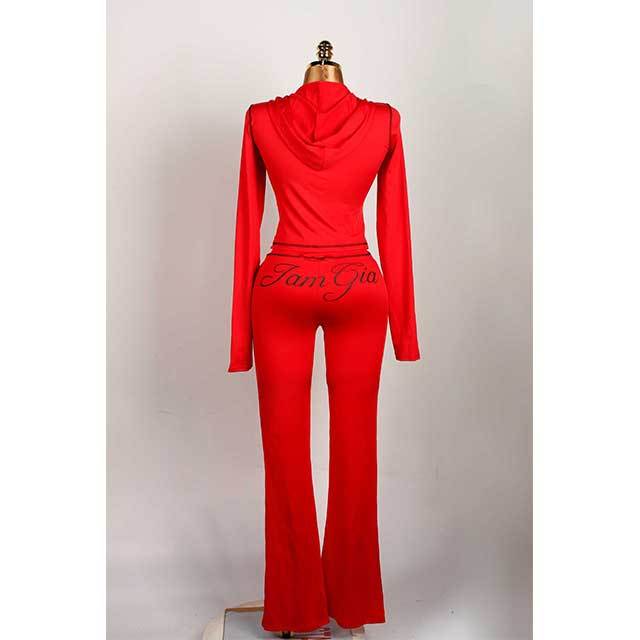 Long Sleeve Zipper Up Hooded 2 Pieces Jogging Suit