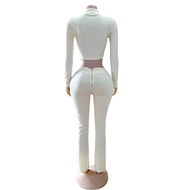 Basic Style Zipped Up Two Pieces Pant Set