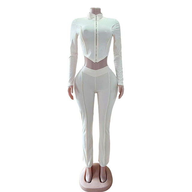 Basic Style Zipped Up Two Pieces Pant Set
