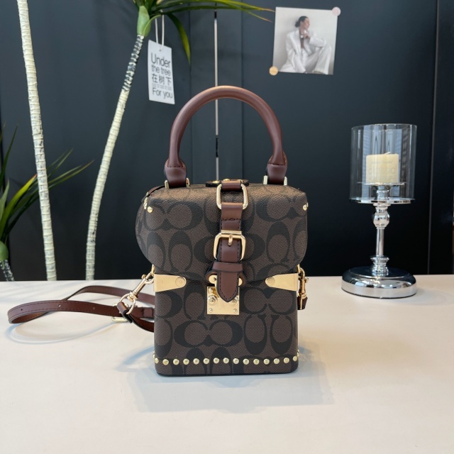 Fashion Print Luxury Crossbody Handbag