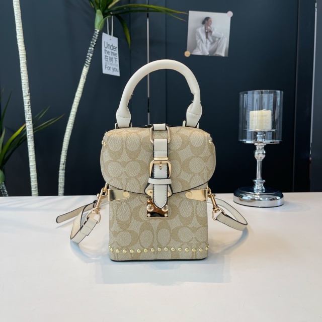 Fashion Print Luxury Crossbody Handbag